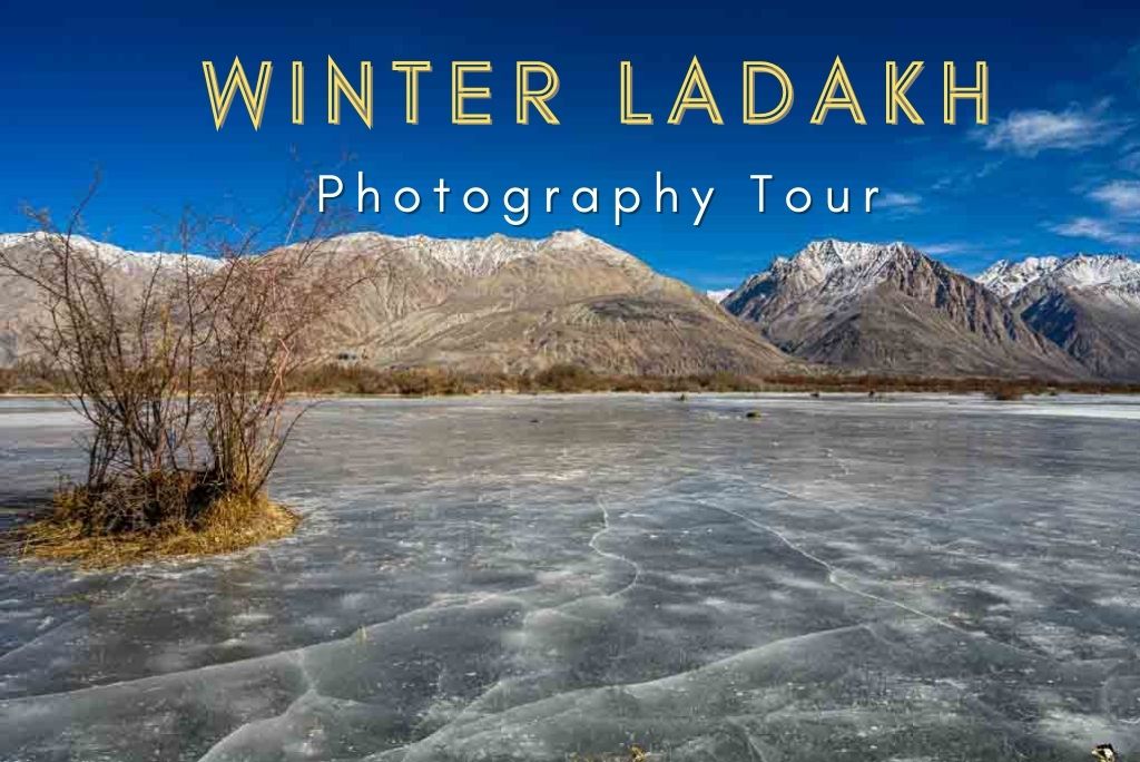 Ladakh in Winter Photography Tour - March 2023
